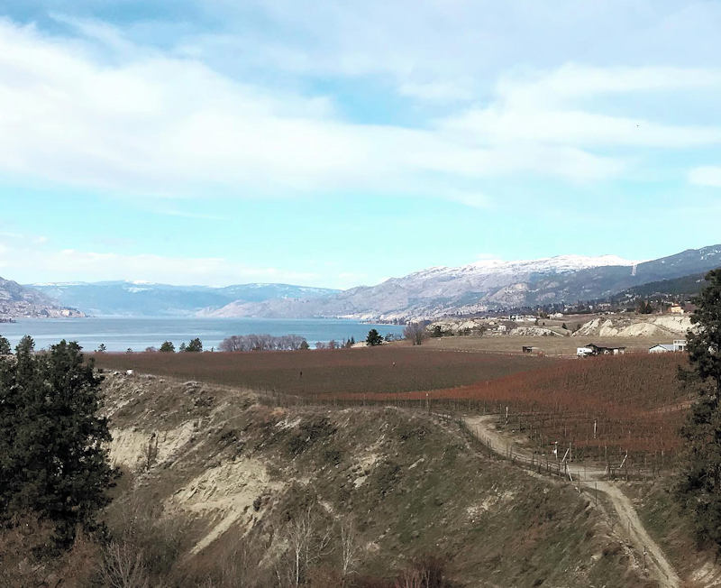 D'Angelo Winery Guest House